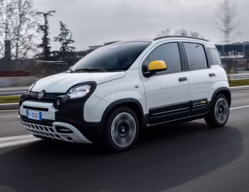 Fiat Pandina (319) '2024–pr.