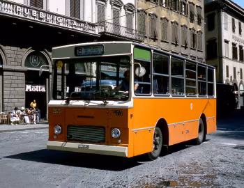 Fiat 314/2 Breda-Pistoiesi [Italy] '1972