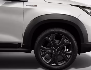 2025 Fiat Pulse Tributo 125 (363) '2024–25