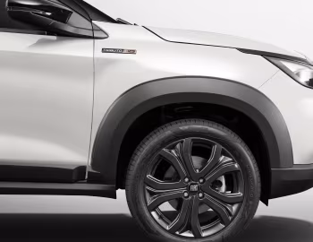 2025 Fiat Pulse Tributo 125 (363) '2024–25