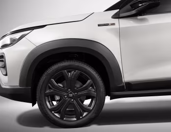 2025 Fiat Pulse Tributo 125 (363) '2024–25