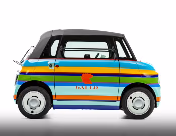 Fiat Topolino Righe Multicolor Gallo (354) '04.2025