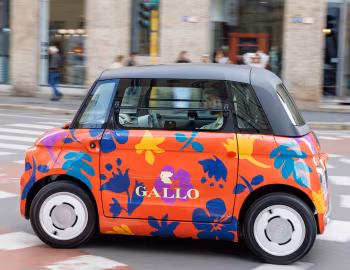 Fiat Topolino Gallo Fiori Astratti (354) '04.2026