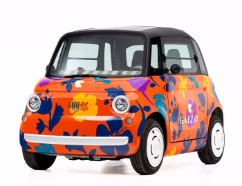 Fiat Topolino Gallo Fiori Astratti (354) '04.2026