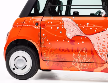 Fiat Topolino Gallo Pesce Palla (354) '04.2026