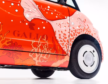 Fiat Topolino Gallo Pesce Palla (354) '04.2026