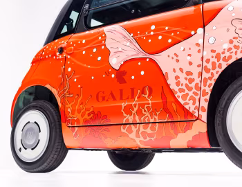 Fiat Topolino Gallo Pesce Palla (354) '04.2026