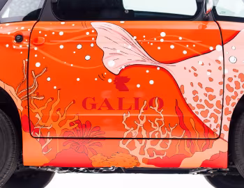 Fiat Topolino Gallo Pesce Palla (354) '04.2026