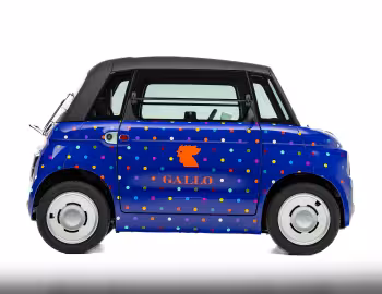 Fiat Topolino Pois Vivaci Gallo (354) '04.2025
