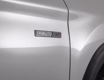 2025 Fiat Toro Volcano Tributo 125 (226) '2024–25