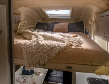 Interior 2023–pr. Wingamm Brownie '2022–pr.