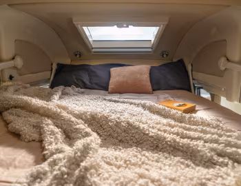 Interior 2023–pr. Wingamm Brownie '2022–pr.