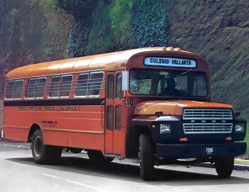 1981 Ford B-600