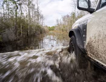 2022–н.ч. Ford Bronco "Everglades" [North America] '2022–н.ч.