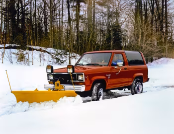 1984 Ford Bronco II (U14) '03.1983–84
