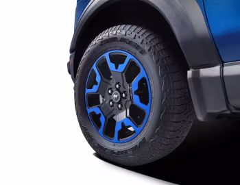 Ford Bronco Sport Blue Free Wheeling '10.2023