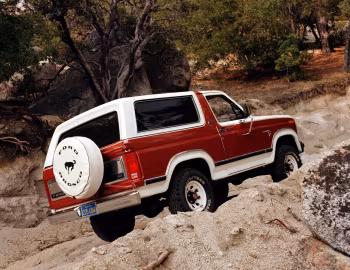 1981 Ford Bronco XLT