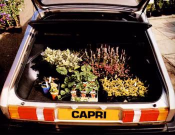 Boot Ford Capri [UK-spec] '1978–86