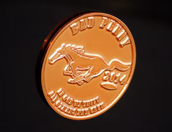 2014 CDC Ford Mustang "Bad Penny" '2013–14