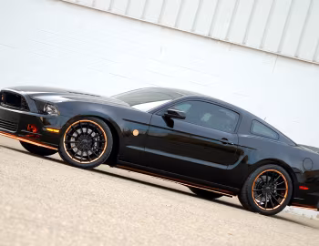 2014 CDC Ford Mustang "Bad Penny" '2013–14
