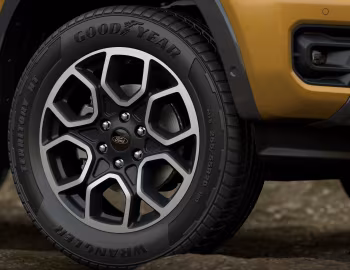 Ford Everest "Wildtrak" [Australia] '2023–н.в.