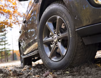 2020–21 Ford Expedition Limited FX4 '2019–21