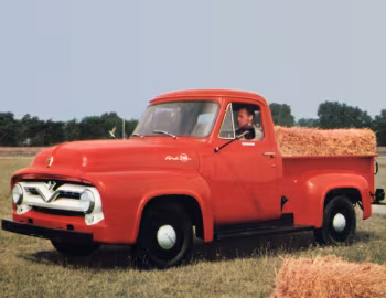 1955 Ford F-100 Pickup (83)