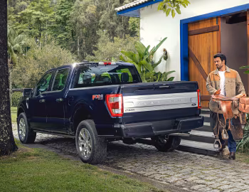 2023–н.ч. Ford F-150 Platinum FX4 SuperCrew [Latam] '2023–н.ч.