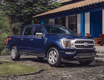 2023–н.ч. Ford F-150 Platinum FX4 SuperCrew [Latam] '2023–н.ч.