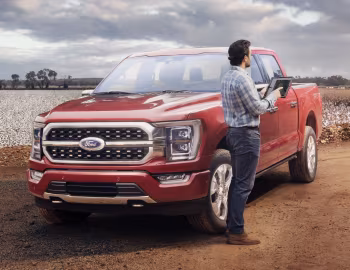 2023–н.ч. Ford F-150 Platinum FX4 SuperCrew [Latam] '2023–н.ч.
