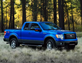 2009–11 Ford F-150 FX4 '2008–11