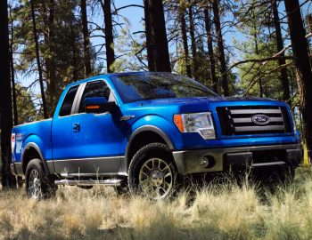 2009–11 Ford F-150 FX4 '2008–11