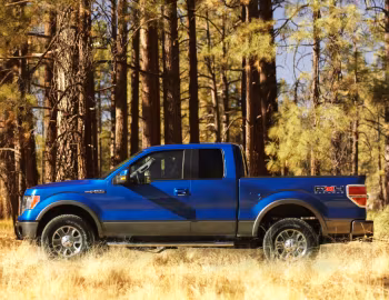 2009–11 Ford F-150 FX4 '2008–11