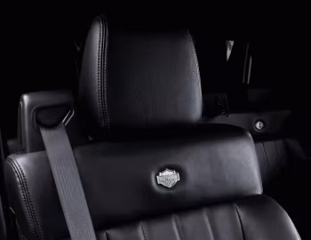 Interior 2006–08 Ford F-150 Harley-Davidson