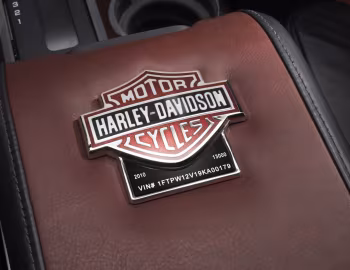 2010 Ford F-150 Harley-Davidson '2009–10