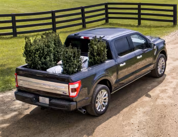 2021–pr. Ford F-150 Limited SuperCrew '2020–pr.