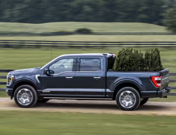 2021–pr. Ford F-150 Limited SuperCrew '2020–pr.