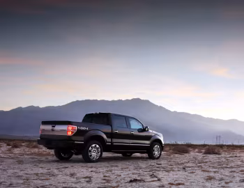 2009–11 Ford F-150 Platinum '2008–11