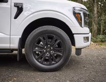 Ford F-150 Platinum [Australia] '2025–pr.
