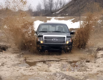2009–11 Ford F-150 Platinum '2008–11