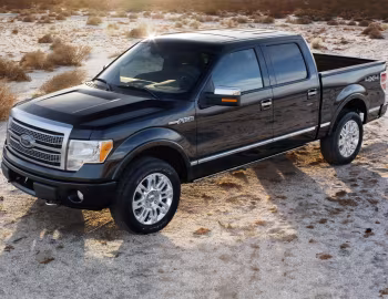 2009–11 Ford F-150 Platinum '2008–11