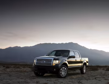 2009–11 Ford F-150 Platinum '2008–11