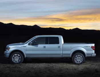 2009–11 Ford F-150 Platinum '2008–11