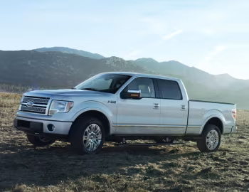 2009–11 Ford F-150 Platinum '2008–11