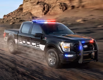 2021–pr. Ford F-150 Police Responder '2021–pr.