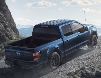 2023–pr. Ford F-150 Rattler '2022–pr.