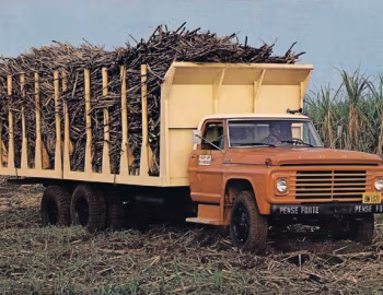 Ford F-22000 81 P1 [Brazil] '1981–????
