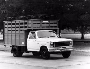 1980–81 Ford F-350