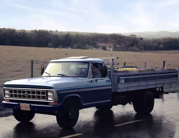 Ford F-4000 '1986–90