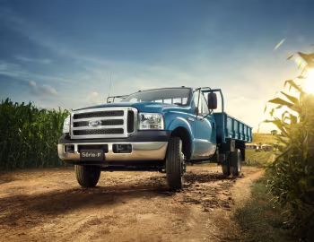 Ford F-4000 '2008–19